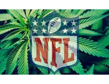 NFL рассматривает возможность проведения исследований свойств конопли в качестве средства от боли