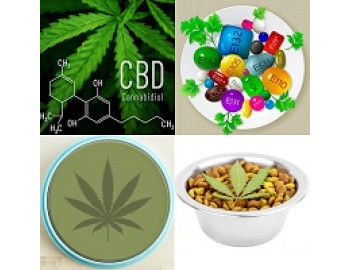 Краткий анализ текущего состояния отдельных сегментов CBD рынка Европы