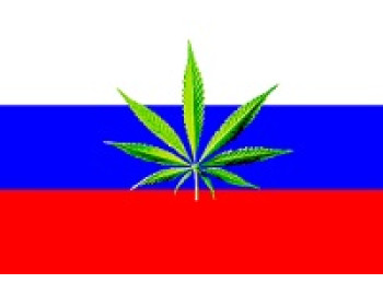 Современное коноплеводство России
