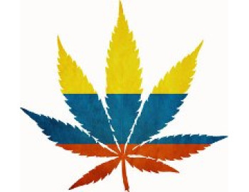 Колумбия планирует легализовать использование конопли в медицинских и научных целях