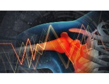 Влияние конопли на целостность и здоровье костей