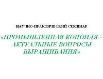 Конопля - актуальные вопросы выращивания