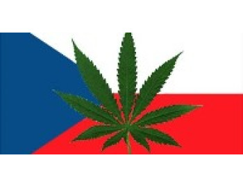 Каннабиноидное масло в Чехии