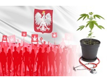 Нижняя палата парламента Польши проголосовала за использование конопли в медицинских целях