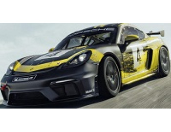 Porsche создал первый гоночный автомобиль из конопли (фото)