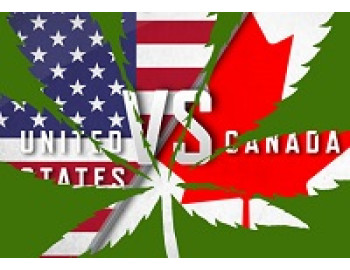 Лидеры канадской cannaиндустрии вкладываются в коноплеводство США