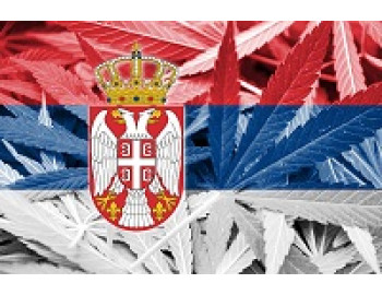 Коноплеводство Сербии