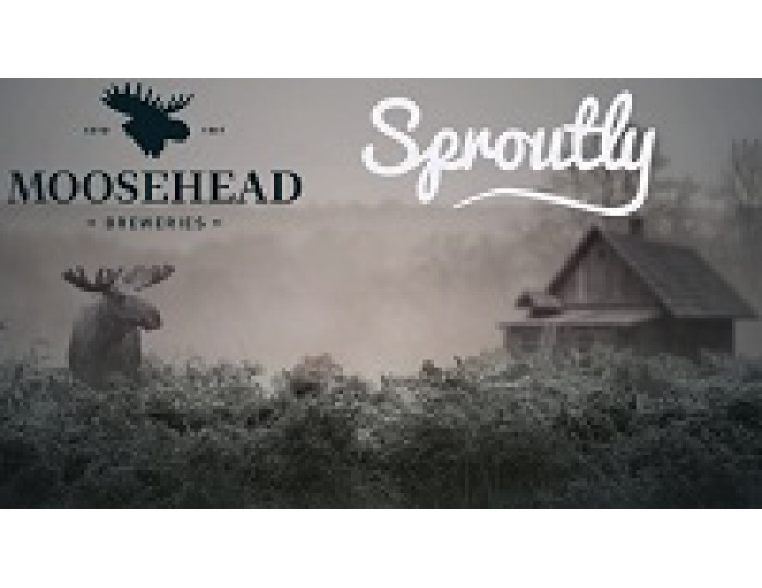 heading_title