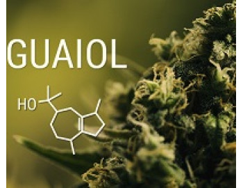 Конопляный терпен Guaiol