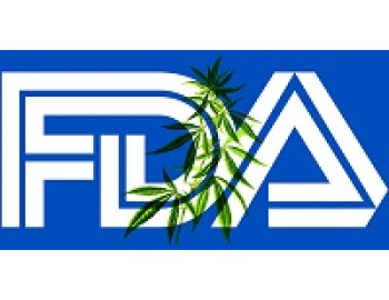 Почему FDA сомневается в терапевтических свойствах экстракта каннабидиола