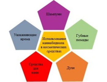 Краткий анализ рынка каннабиноидной косметики