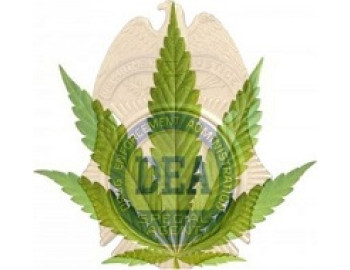 DEA объявило о планах по легальному выращиванию 3,2 т психоактивной конопли в 2020 году для использования растения в научных целях