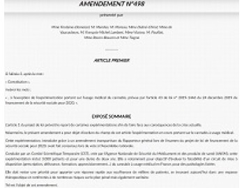Эксперимент по использованию конопли в медицинских целях на территории Франции в 2020 году реализовываться не будет