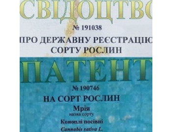 Почему массовое использование терапевтических свойств конопли предопределено на рынке