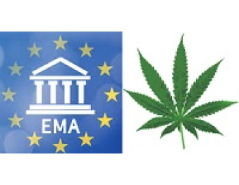 EMA указывает на проблемы КБД рынка ЕС
