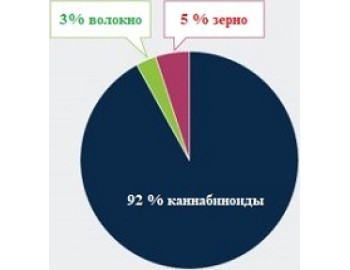 Почему в США предопределено бурное развитие сектора переработки конопляного волокна