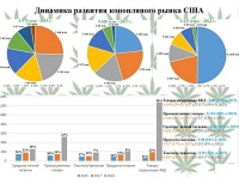 “Неплановый бизнес”: как легально зарабатывать на конопле – тезисы к видео