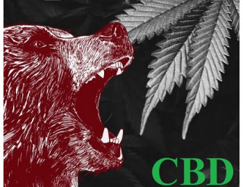 Наглядная иллюстрация падающего CBD рынка