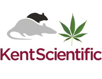 Выводы, которые можно делать по результатам проверки CBD продукции, продаваемой в Великобритании